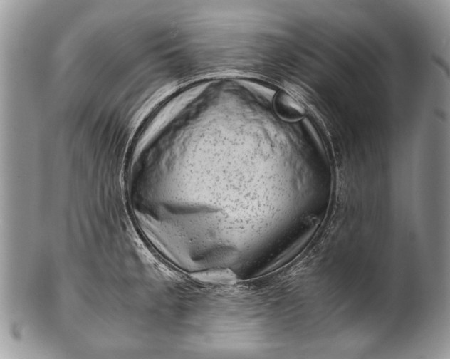 X0000100351189200806201534