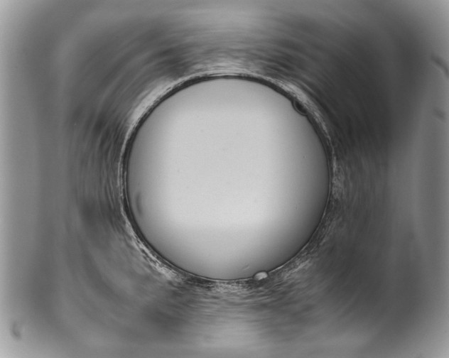 X0000100351191200806201534