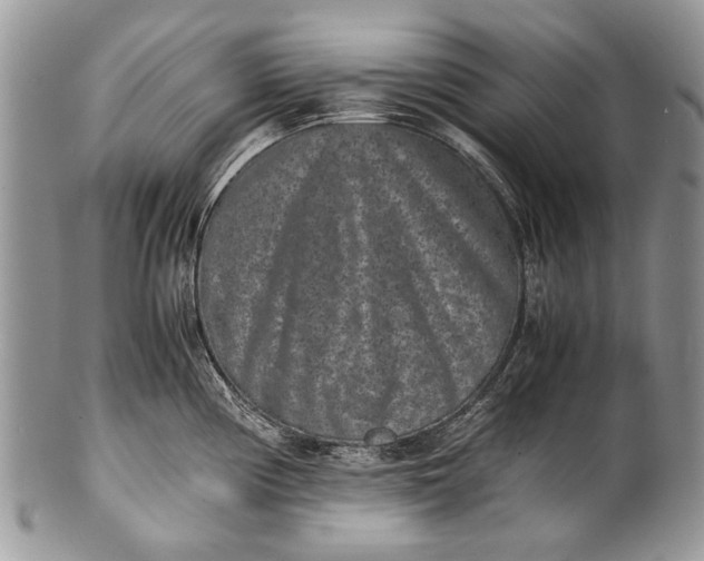X0000100351194200806201534