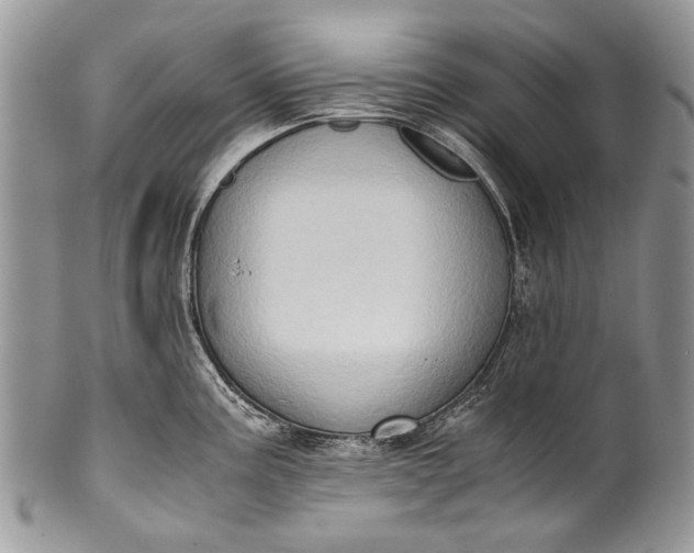 X0000100351195200806201534