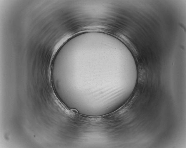 X0000100351196200806201534