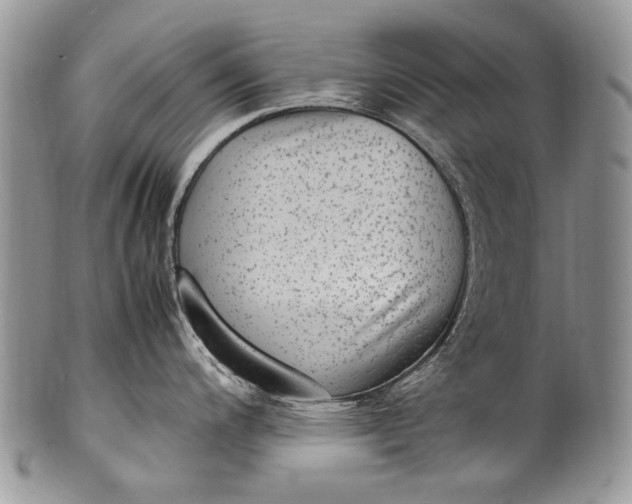X0000100351200200806201534