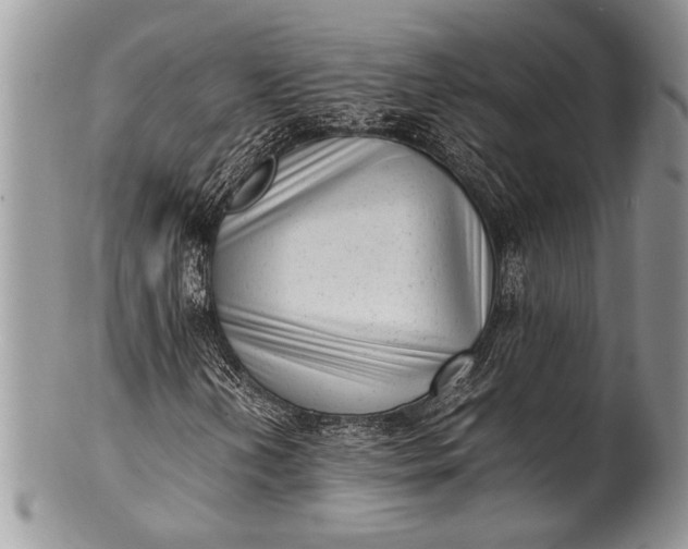 X0000100351202200806201533