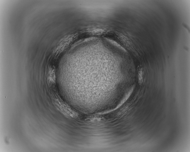 X0000100351204200806201533