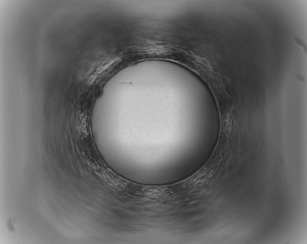 X0000100351205200806201533