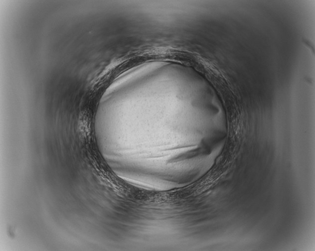 X0000100351206200806201533
