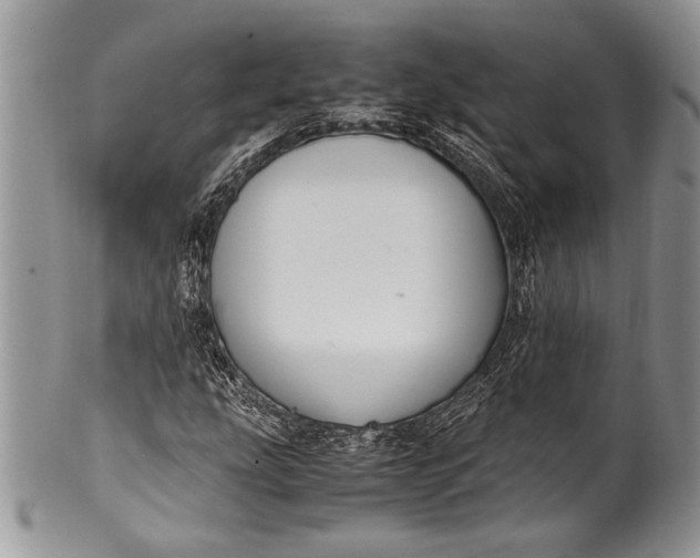 X0000100351207200806201533