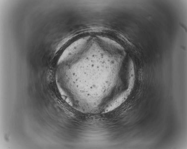 X0000100351208200806201533