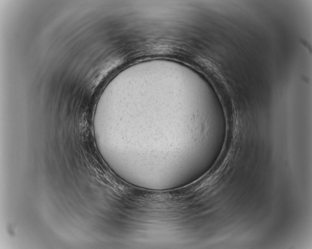 X0000100351210200806201533