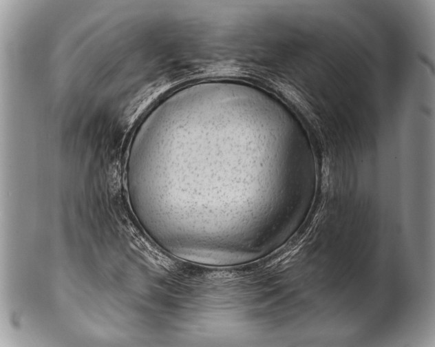 X0000100351212200806201533