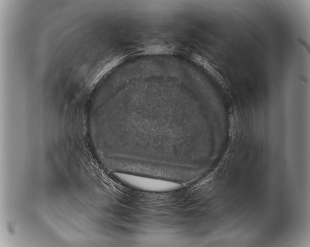 X0000100351213200806201533