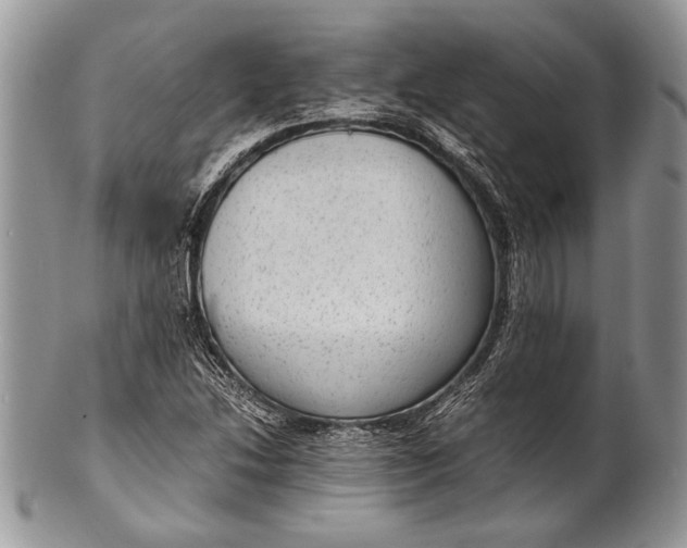 X0000100351214200806201533