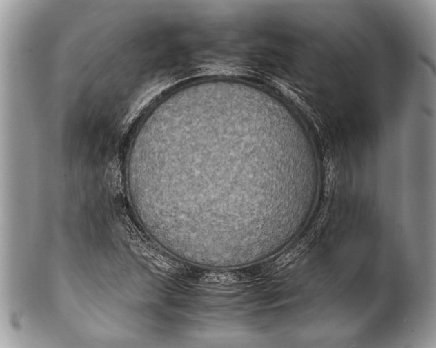 X0000100351215200806201533