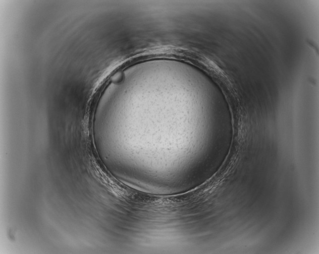 X0000100351216200806201533