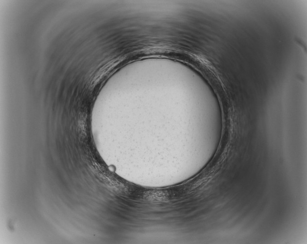 X0000100351217200806201533