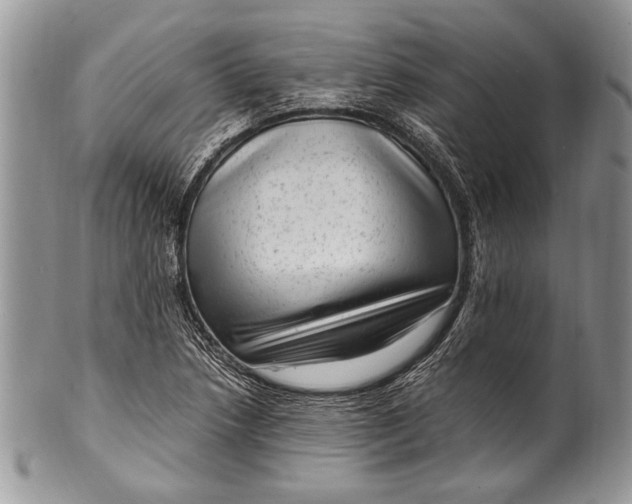 X0000100351218200806201533