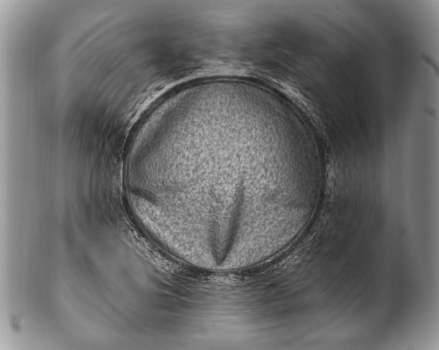 X0000100351220200806201533
