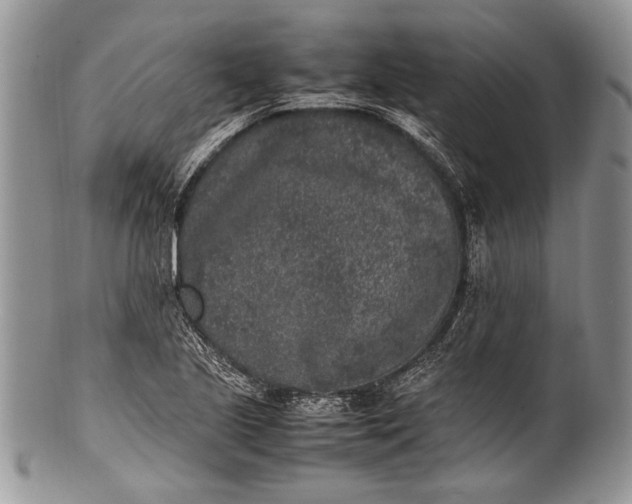 X0000100351221200806201533