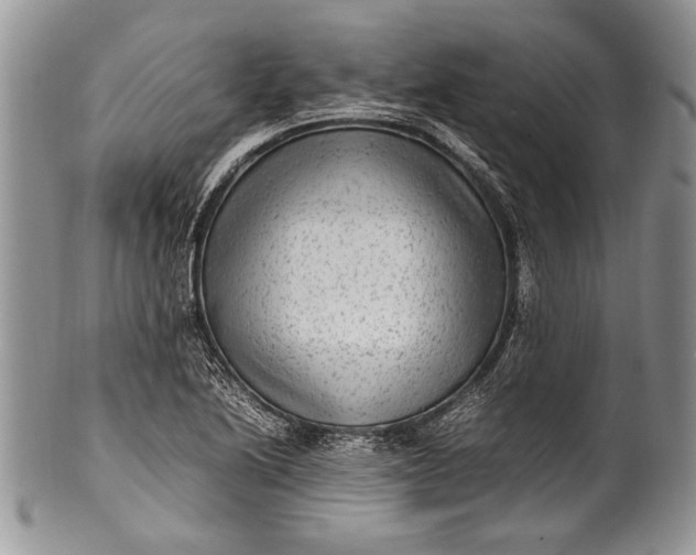 X0000100351222200806201533