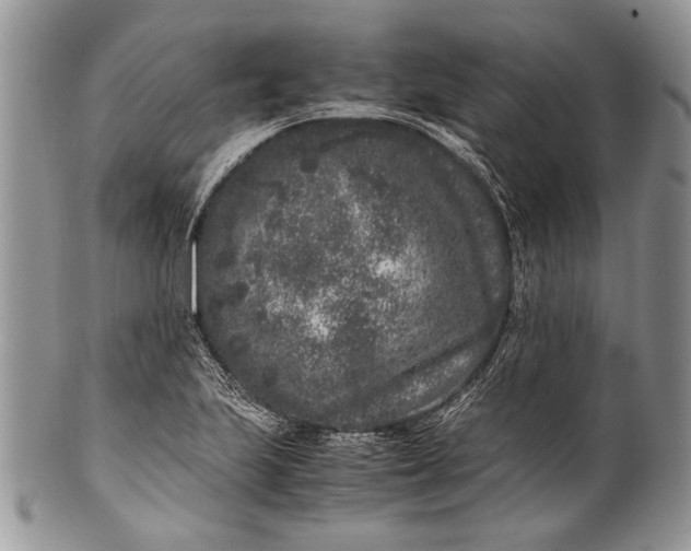 X0000100351223200806201533