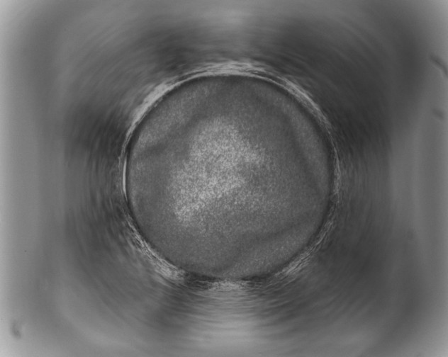 X0000100351224200806201533