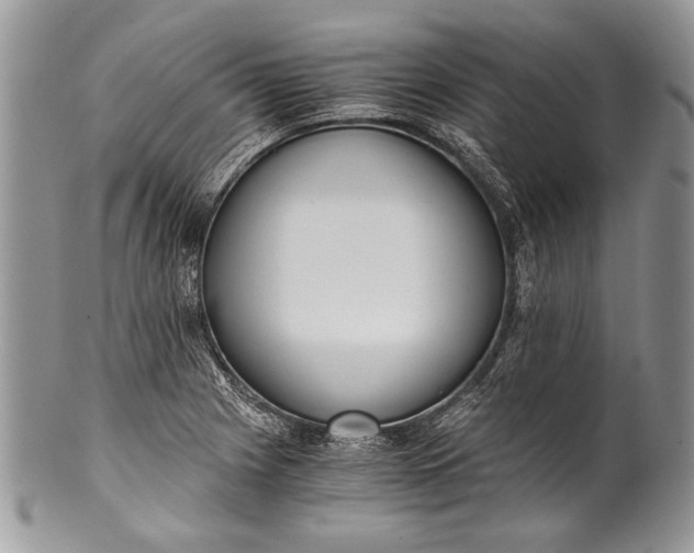 X0000100351225200806201533