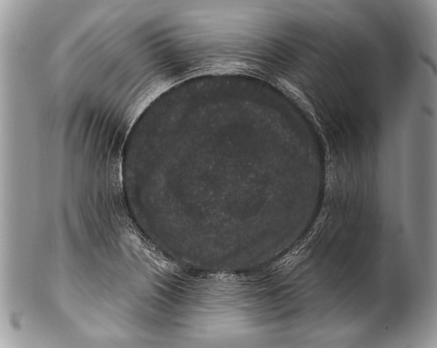 X0000100351226200806201533