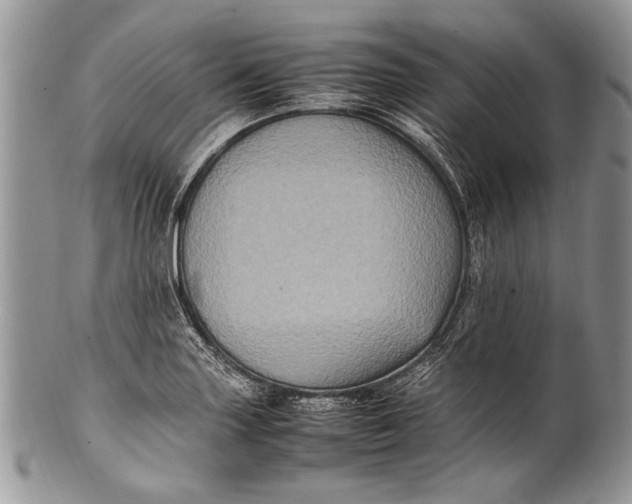 X0000100351227200806201533