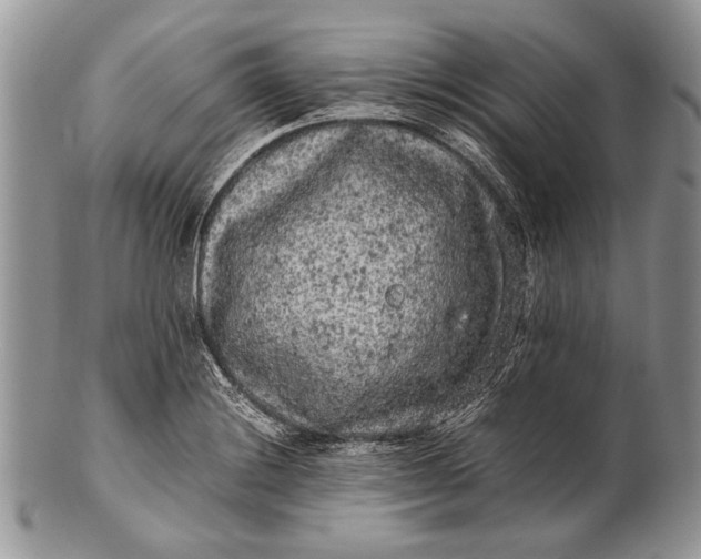 X0000100351228200806201533