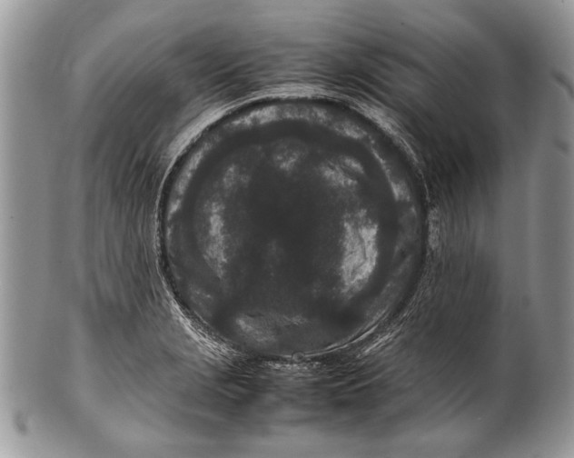 X0000100351229200806201533