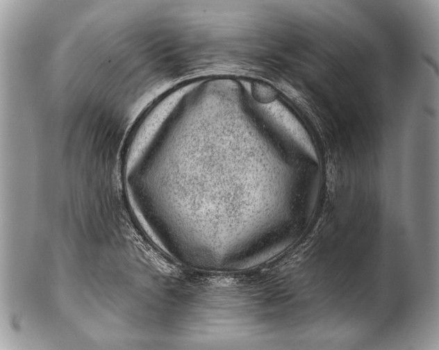 X0000100351230200806201533