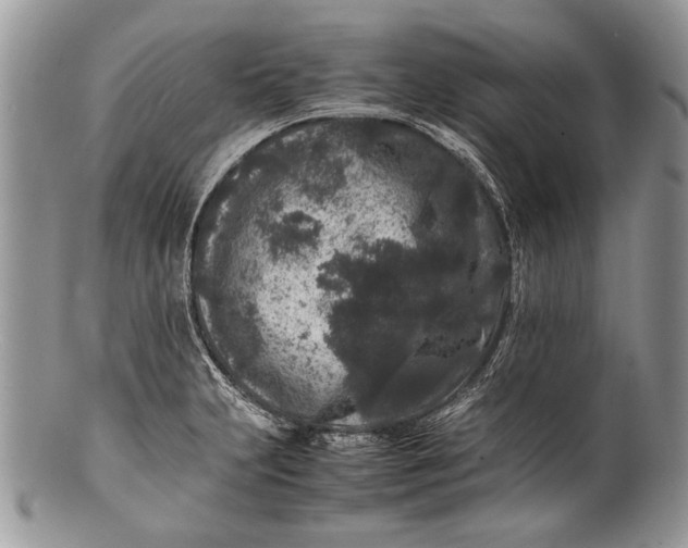 X0000100351231200806201533