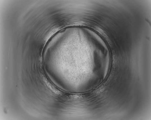 X0000100351234200806201533