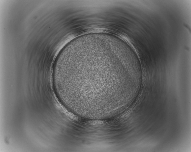X0000100351235200806201533