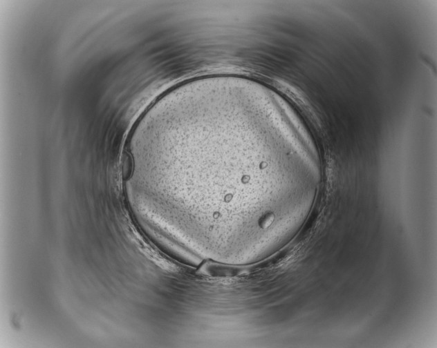 X0000100351236200806201533