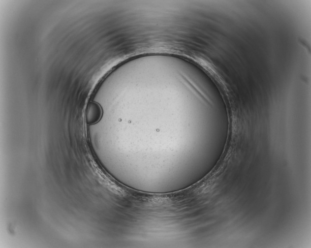 X0000100351238200806201533