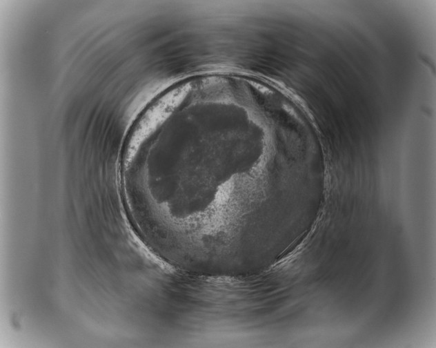 X0000100351239200806201533