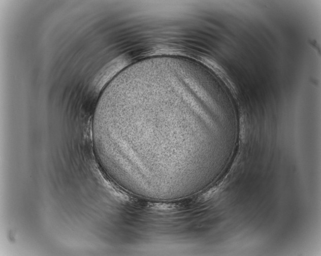 X0000100351241200806201533