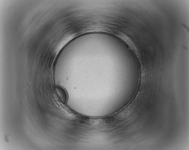 X0000100351242200806201533