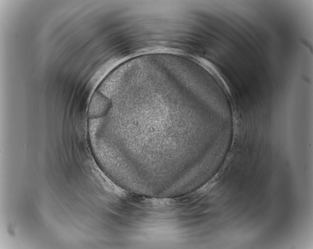 X0000100351244200806201534