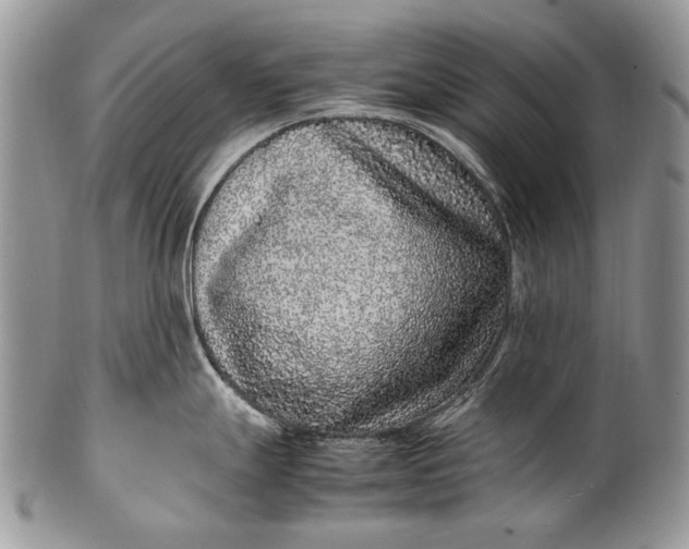 X0000100351247200806201534