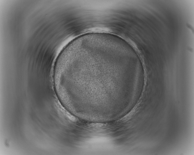 X0000100351248200806201534
