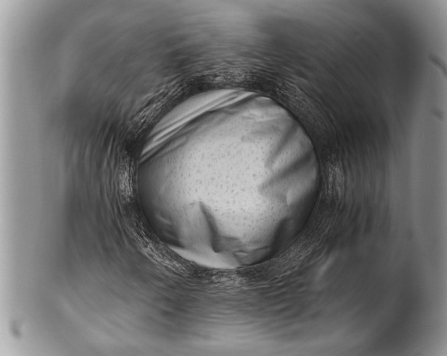 X0000100351250200806201533