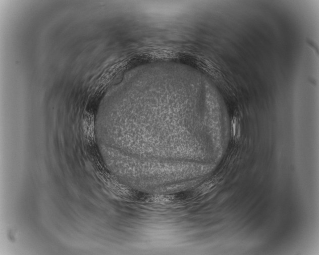X0000100351251200806201533