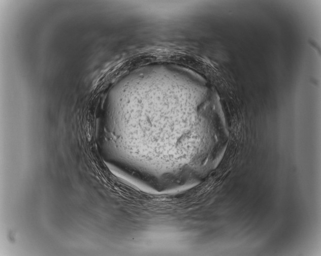 X0000100351253200806201533