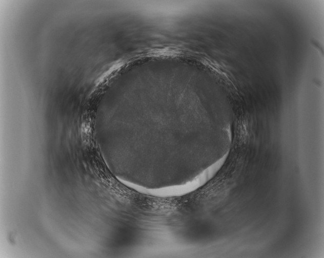 X0000100351254200806201533
