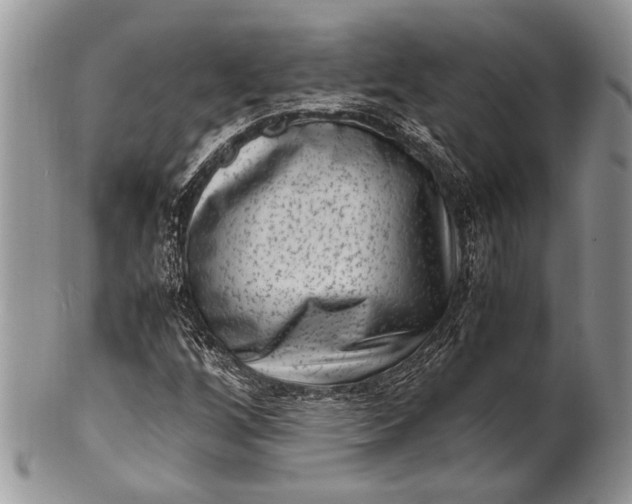X0000100351256200806201533