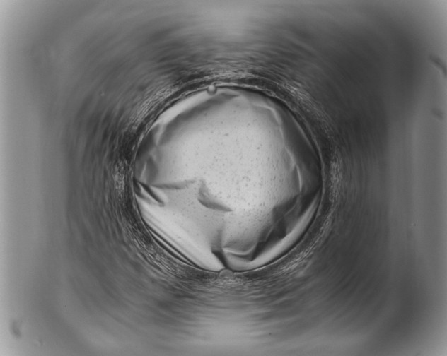 X0000100351257200806201533