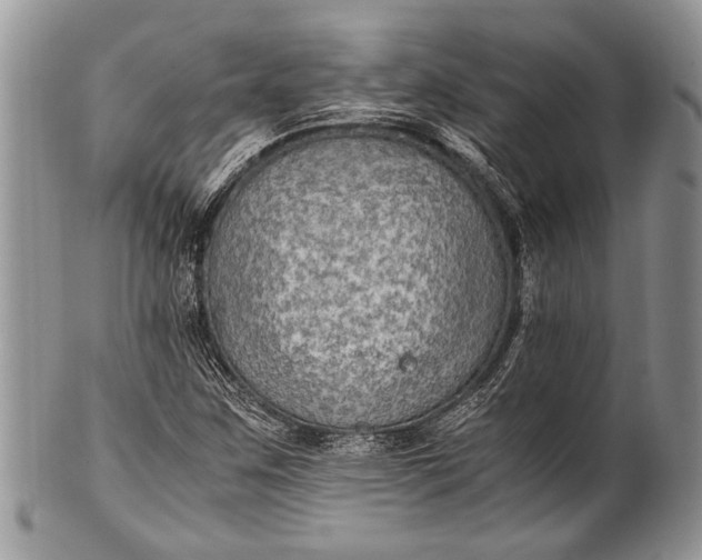 X0000100351259200806201533