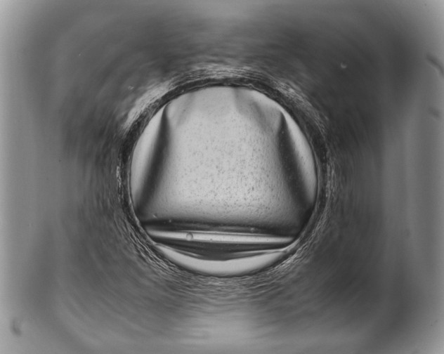 X0000100351261200806201533